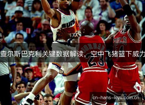 查尔斯巴克利关键数据解读，空中飞猪篮下威力