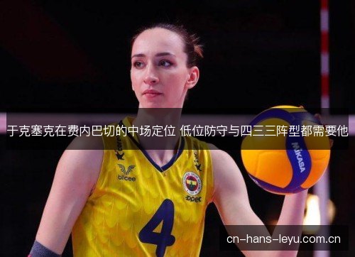 于克塞克在费内巴切的中场定位 低位防守与四三三阵型都需要他